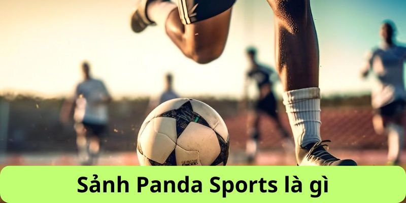 Sảnh Panda  Sports là gì