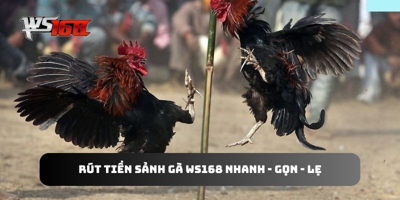 Rút tiền sảnh gà WS168 nhanh - gọn - lẹ