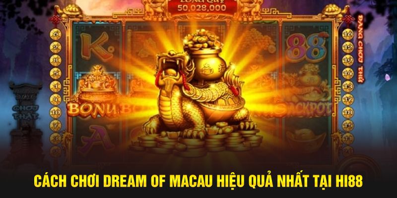 Cách chơi Dream Of Macau hiệu quả tại HI88