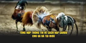 Cách nạp carbo cho gà đá