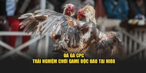 đá gà CPC