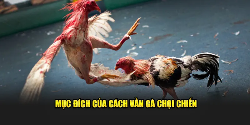 Mục đích của cách vần gà chọi chiến