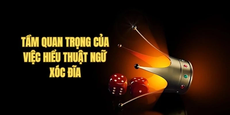 Những lý do phải học thuộc thuật ngữ chuyên môn xóc đĩa